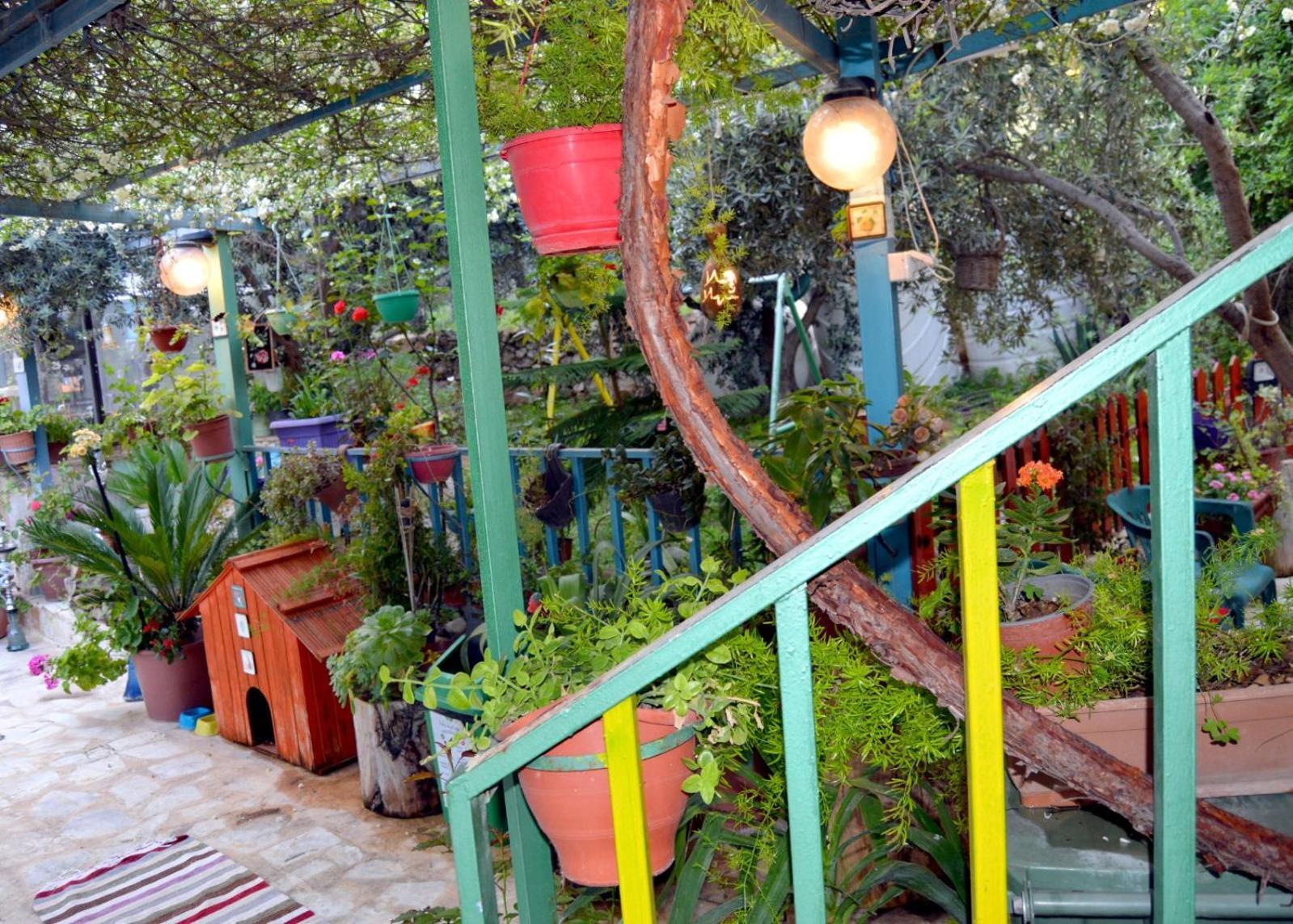 بيت الطبيعة Nature House จีราช ห้อง รูปภาพ