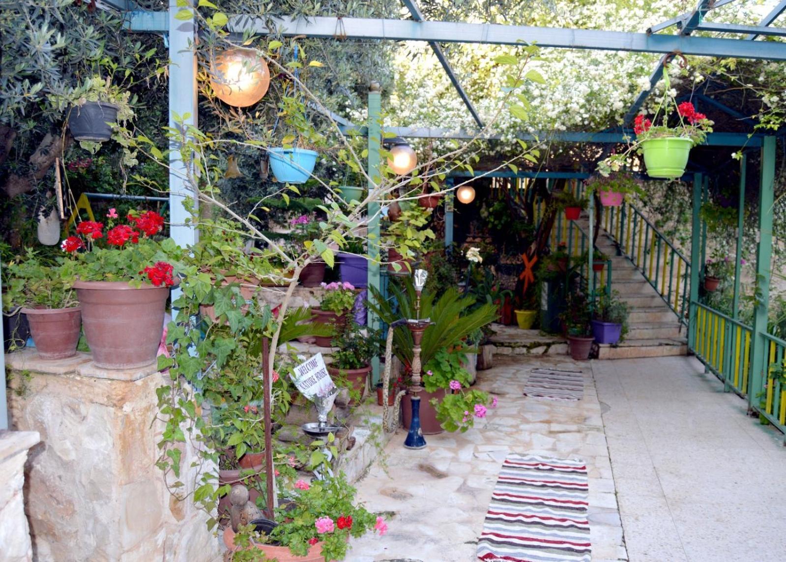 بيت الطبيعة Nature House จีราช ห้อง รูปภาพ
